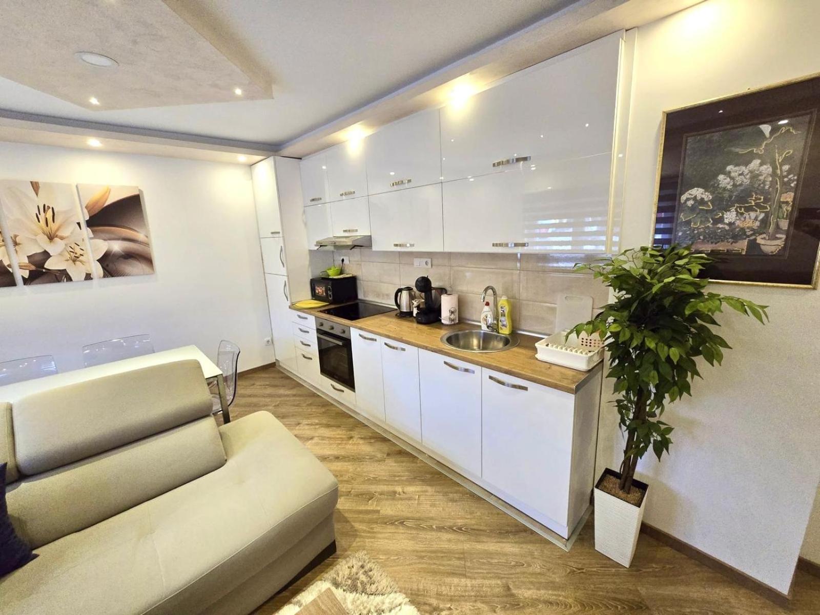 Sasa Apartment Bajina Basta